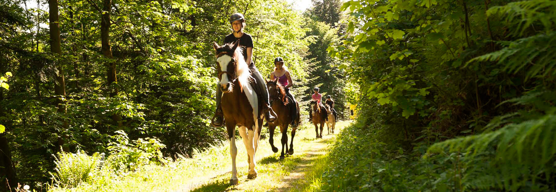 Lillis Farm - Die Ponyschule in Bühlertal