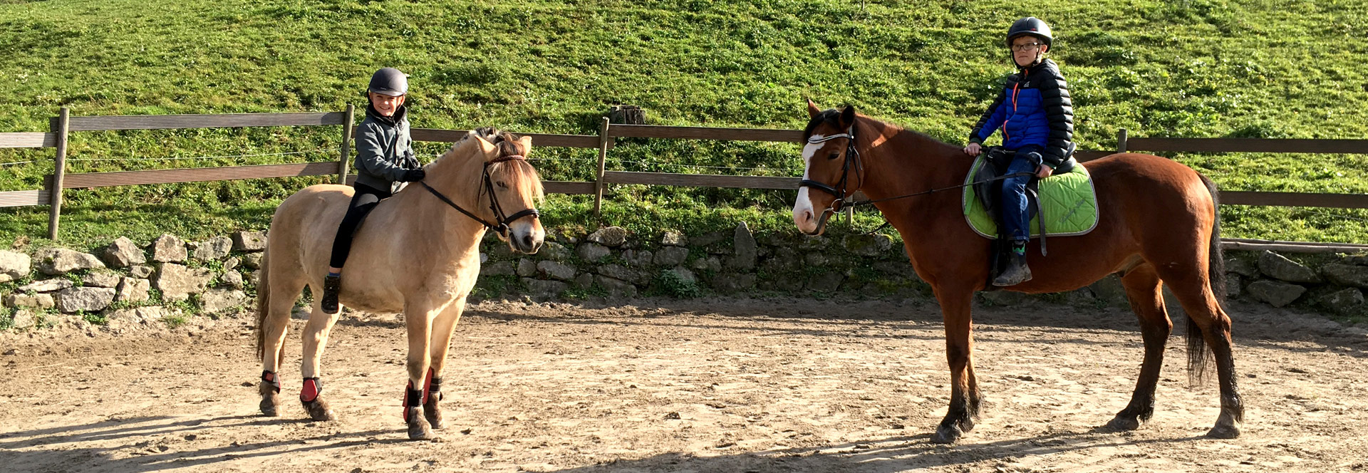 Lillis Farm - Die Ponyschule in Bühlertal